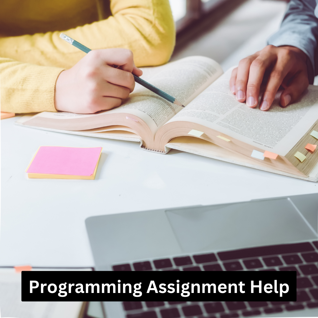 computer assignment programming language