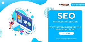 SEO freelancer in delhi